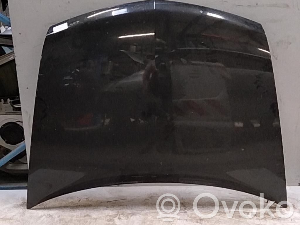 Renault Vel Satis Konepelti 