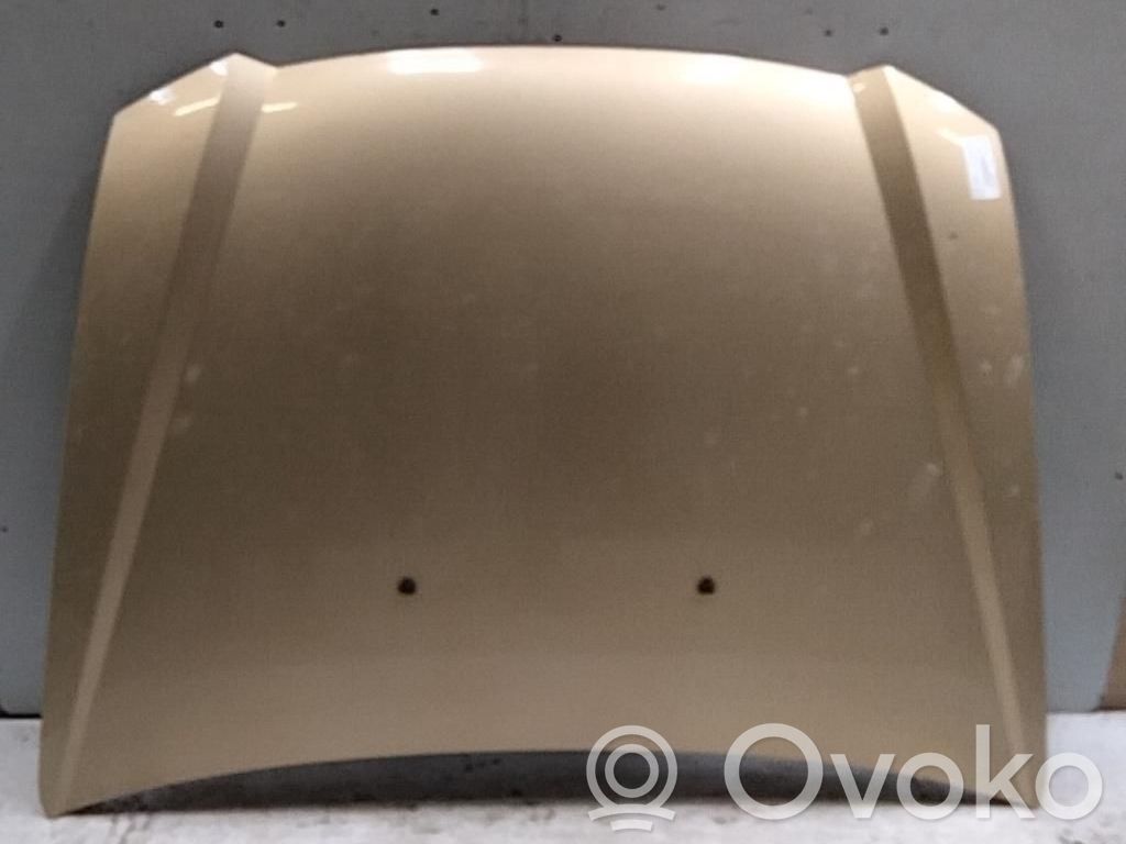 Fiat Stilo Capó/tapa del motor 