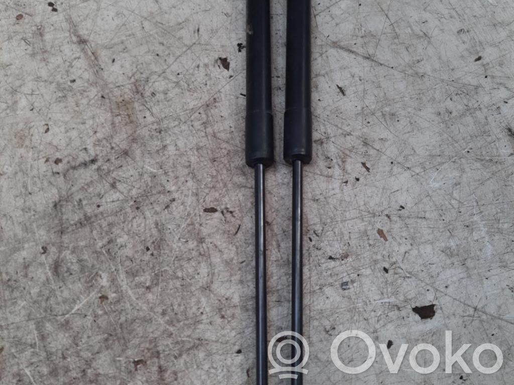 Citroen C3 Tailgate/trunk strut/damper 