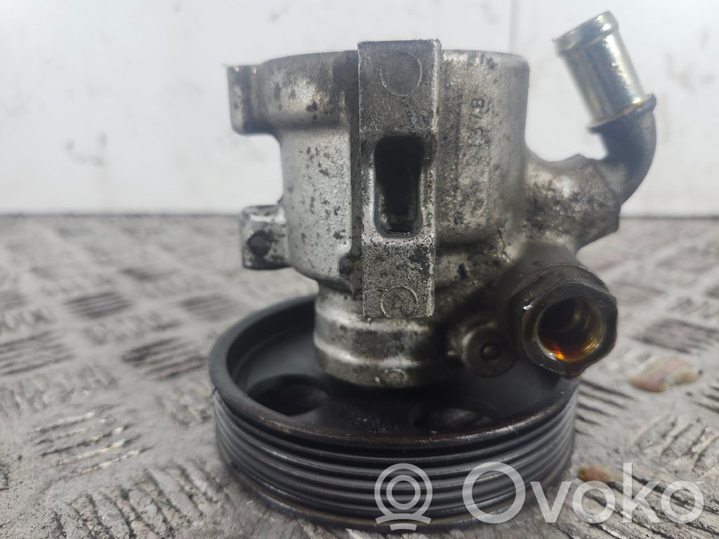 Power steering pump   40076C