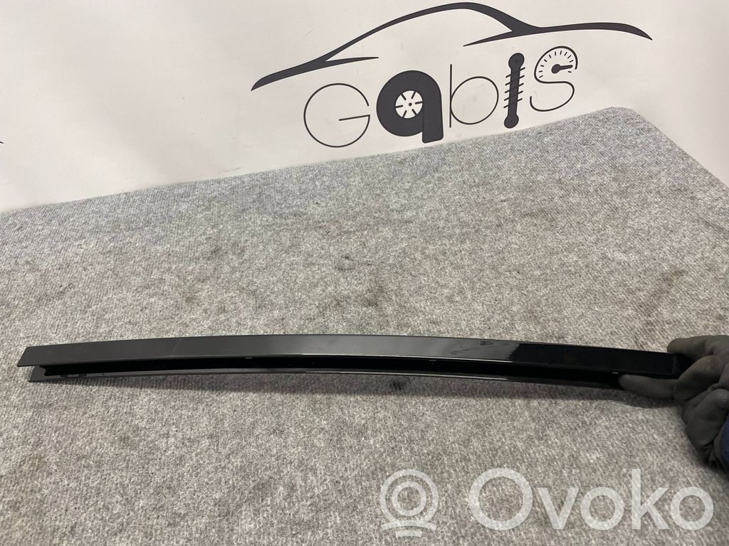 BMW X3 G01 Rear door glass trim molding 