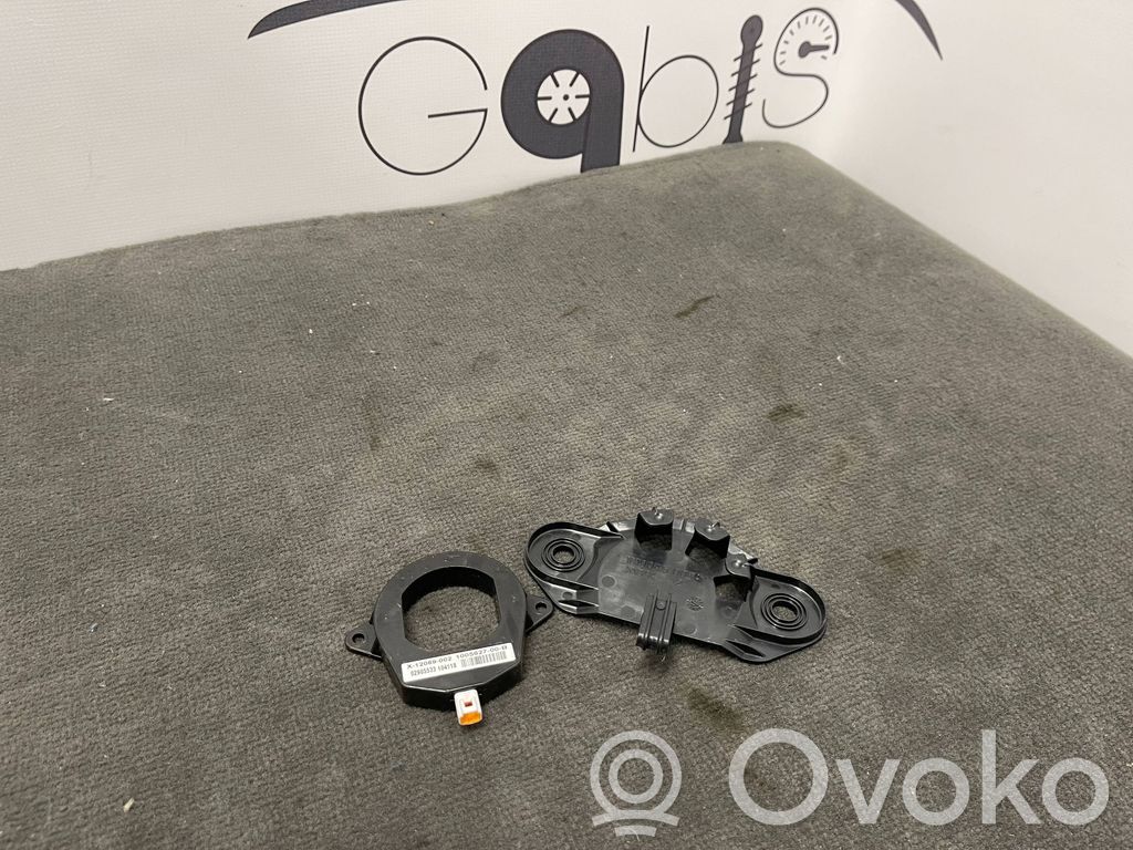 Tesla Model S Antenas pastiprinātājs 