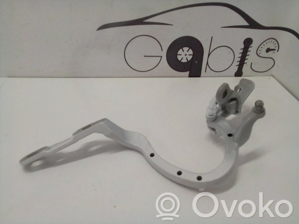Tailgate/trunk/boot hinge   9630148,171203,17120310,2222R