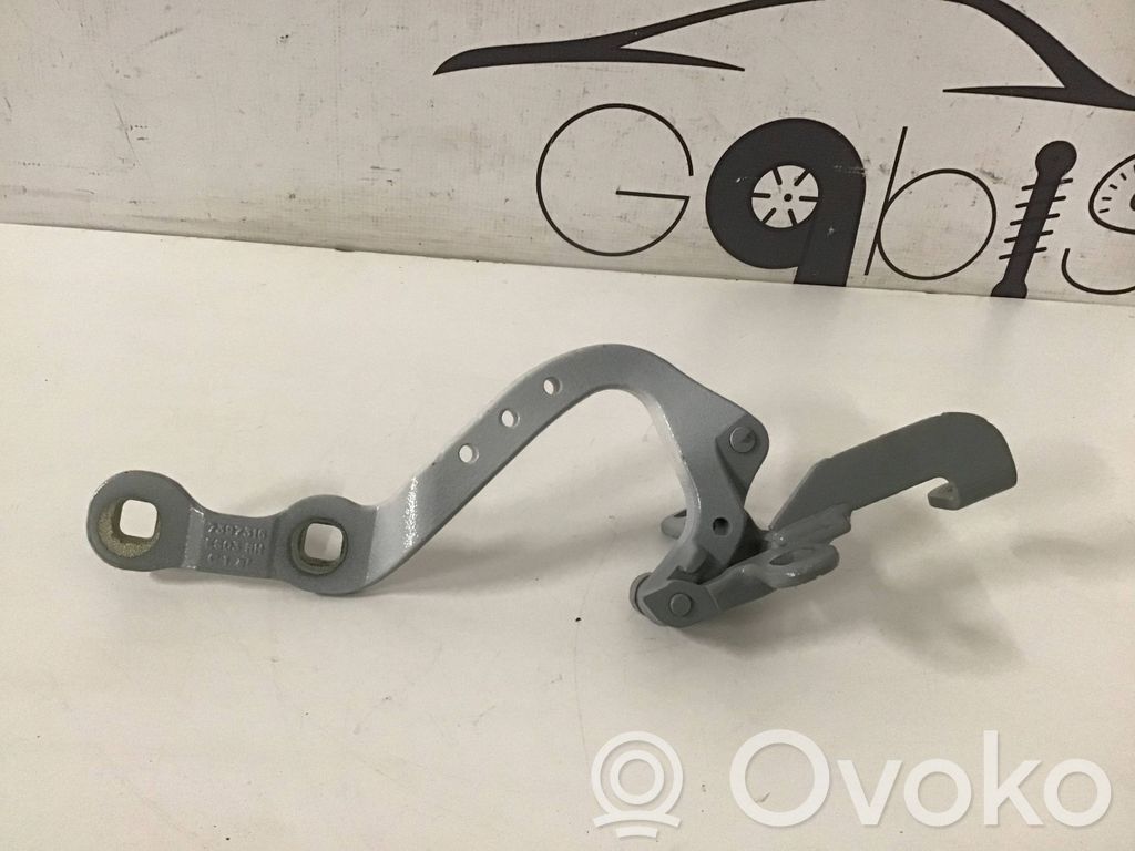 BMW X3 G01 Tailgate/trunk/boot hinge 
