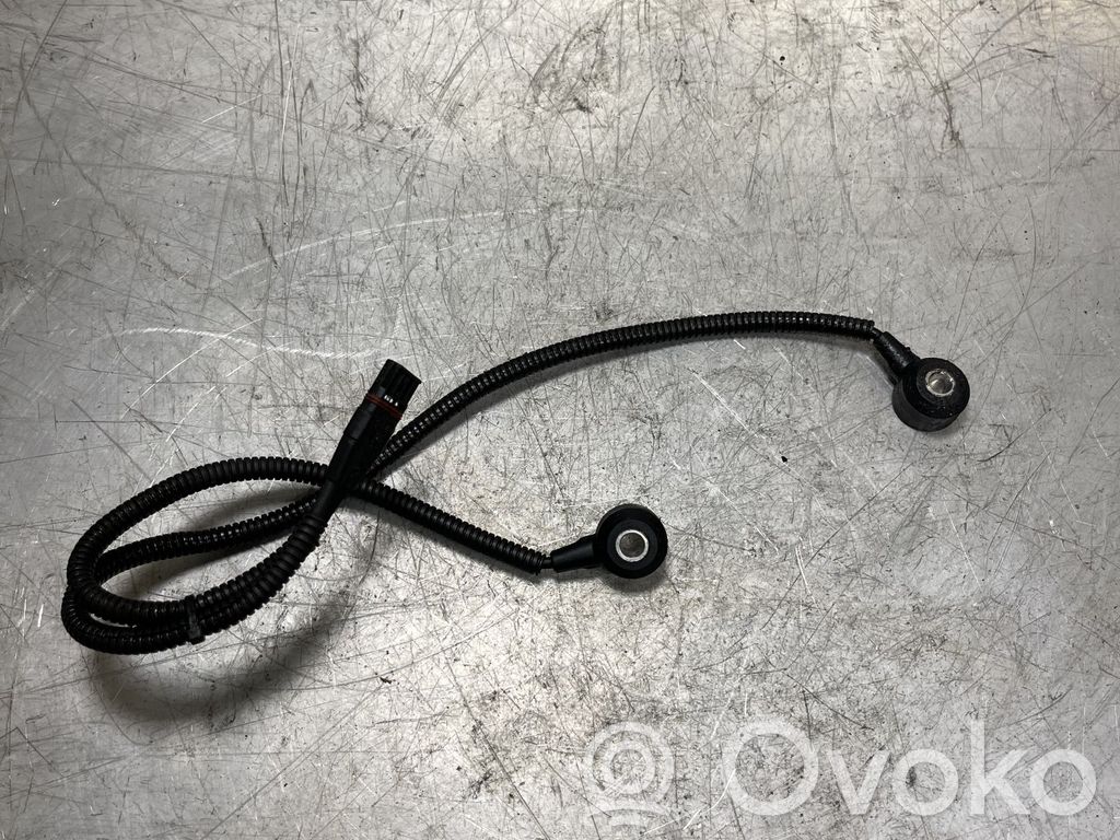 Klopfsensor   7531705