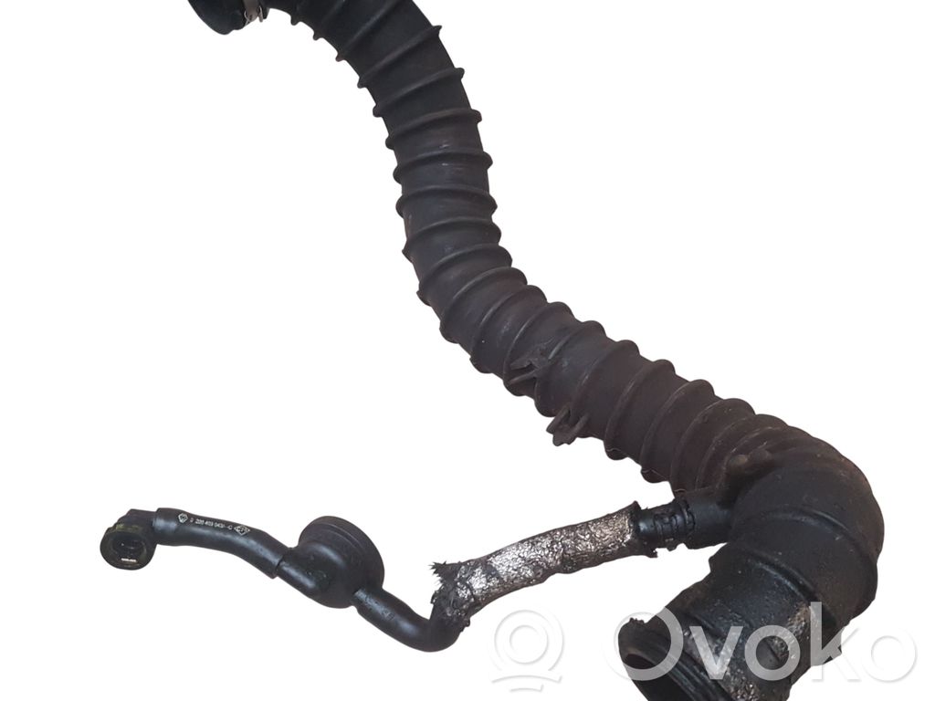 Entlüftungsschlauch   8200453032