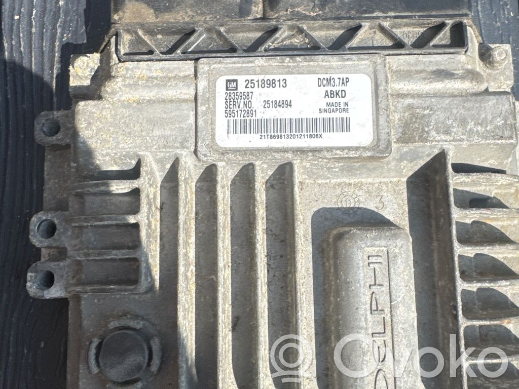 Opel Antara Unitate/modul de control motor 