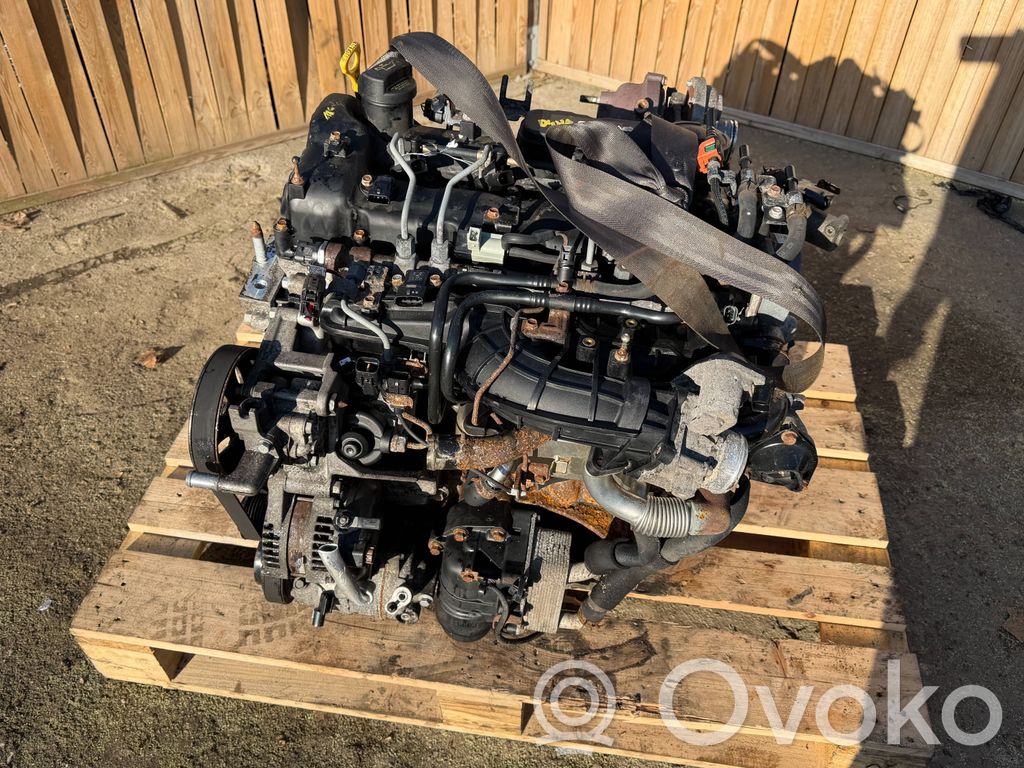 Engine   D4HB