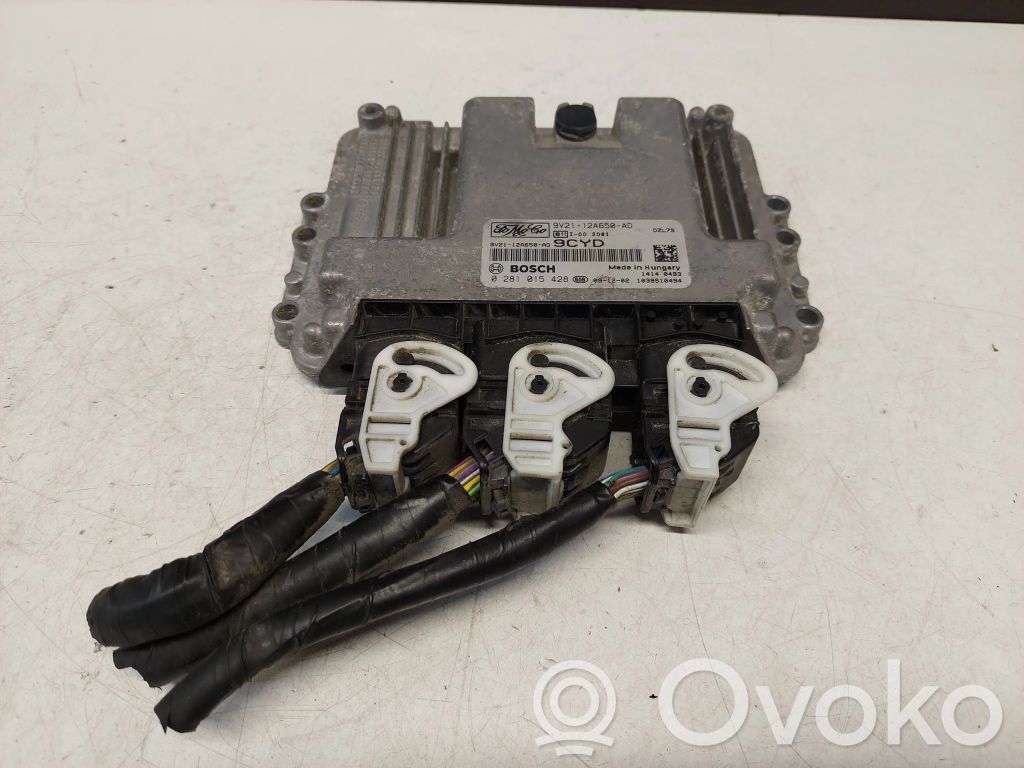 Ford Fiesta Engine control unit/module 