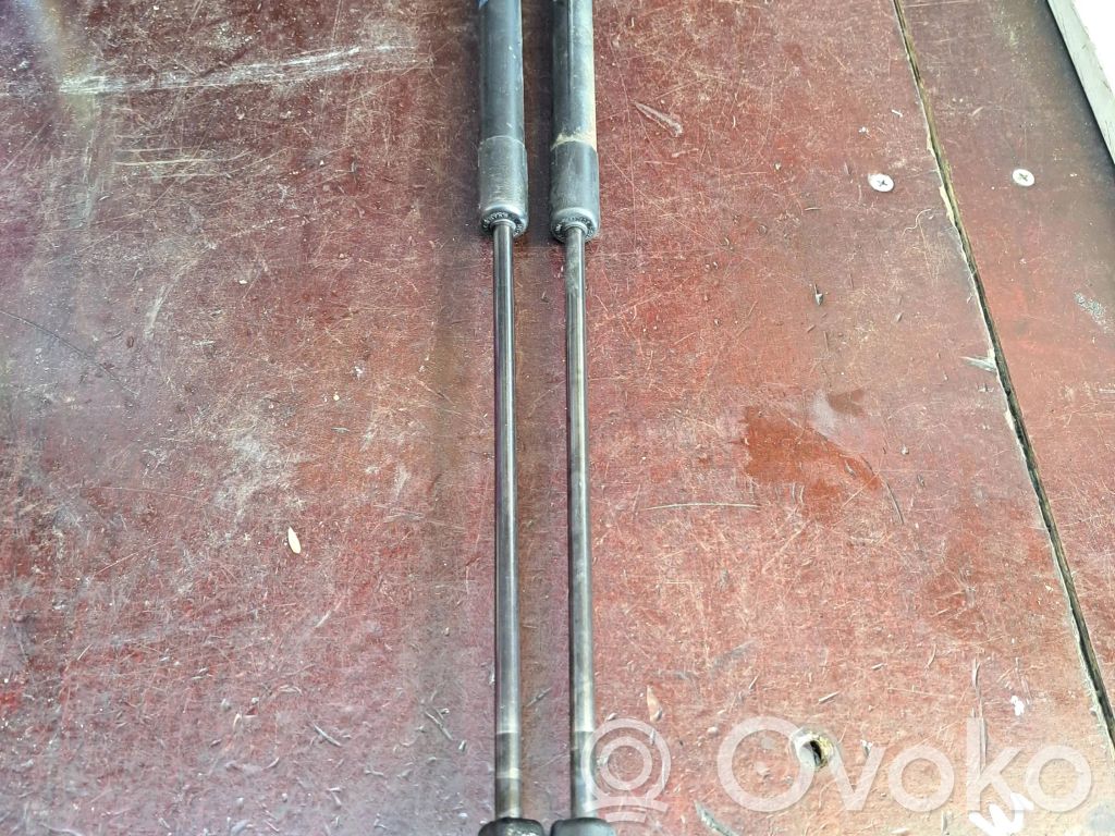 Ford Fiesta Tailgate/trunk strut/damper 