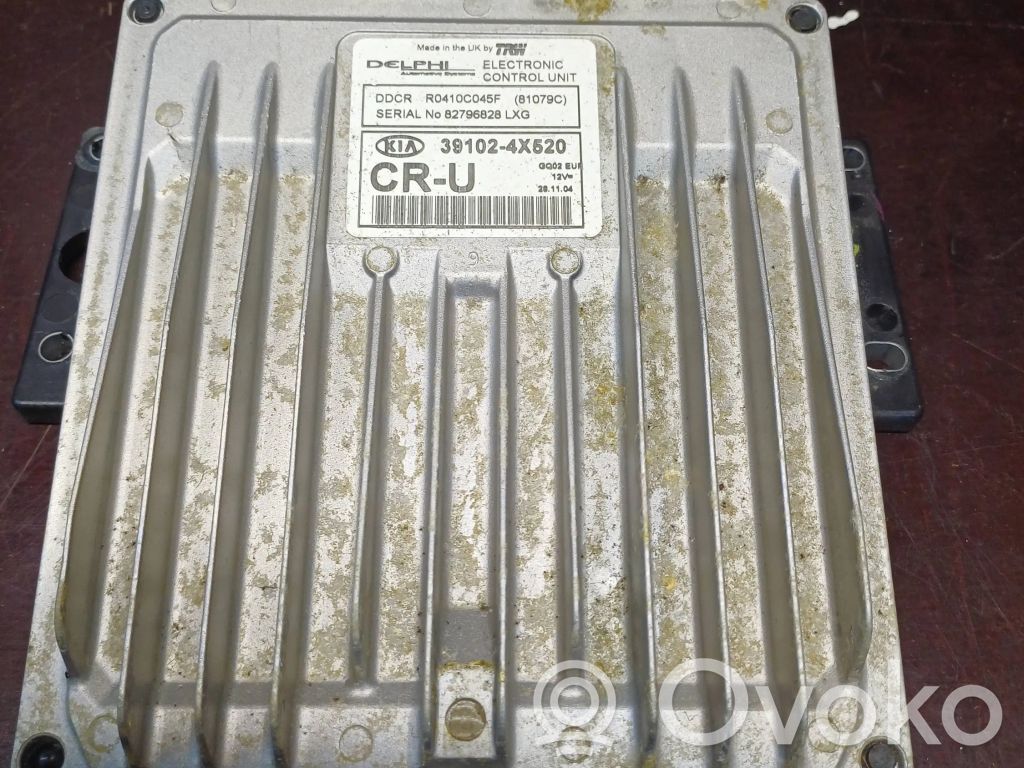 KIA Carnival Engine control unit/module 