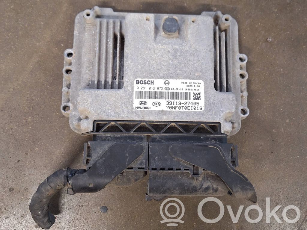 Hyundai Sonata Engine control unit/module 