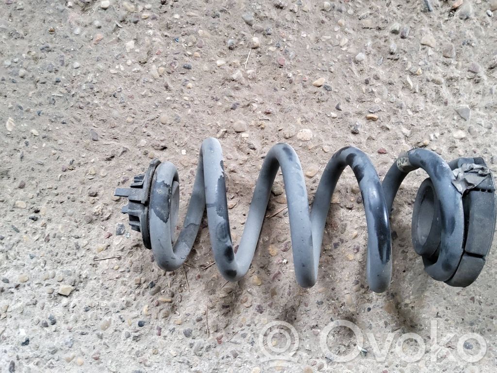Rear coil spring