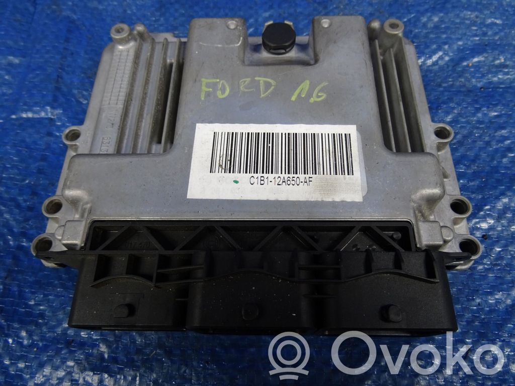 Ford Fiesta Other control units/modules 