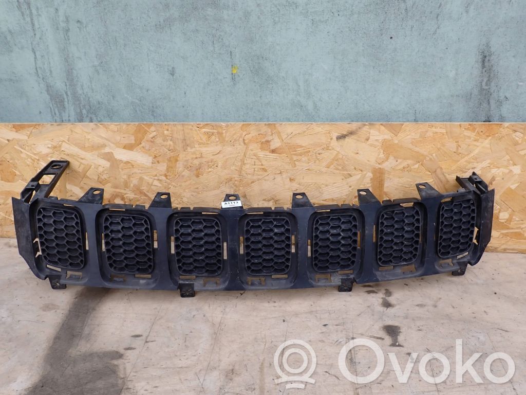 Front grill   4010170340AB