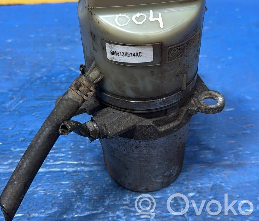 Ford Focus Vairo stiprintuvas (elektrinis) 