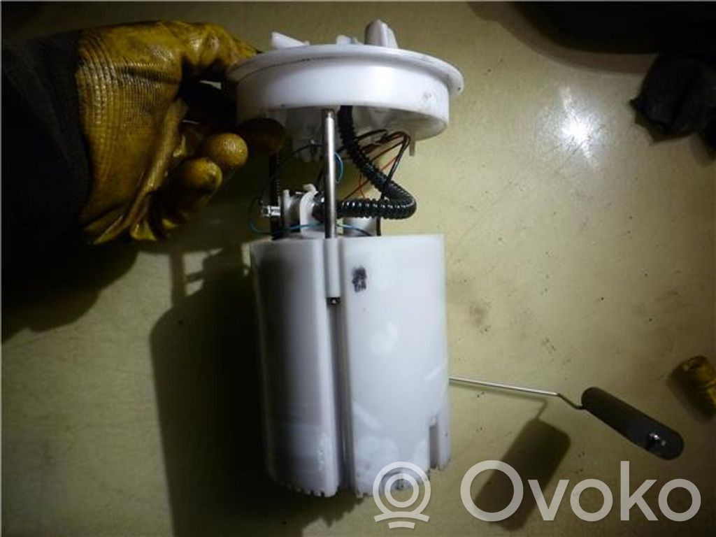 Ford C-MAX II In-tank fuel pump 