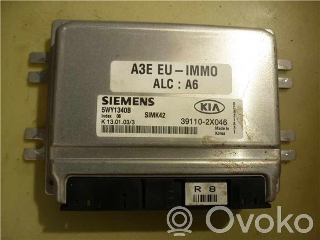 Engine control unit/module ECU   5WY1340B,391102X046