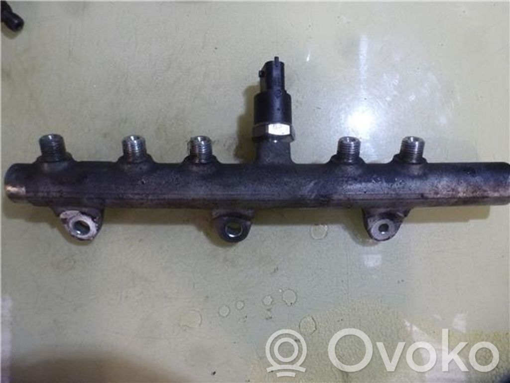 Rampa inyectora   445214016