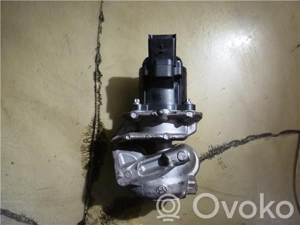 Válvula EGR   V29010703