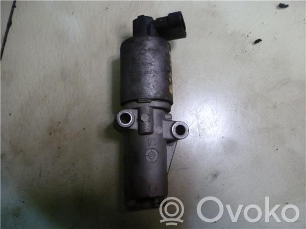 Válvula EGR   24445720,72838400