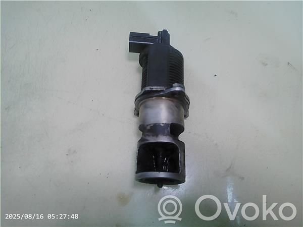 Renault Megane II Zawór EGR 