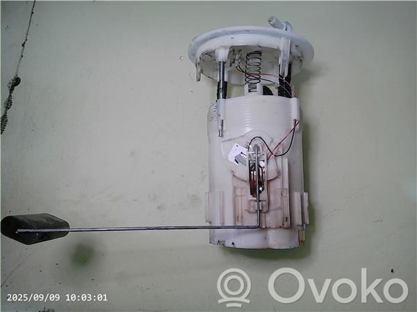 Renault Kangoo II In-tank fuel pump 