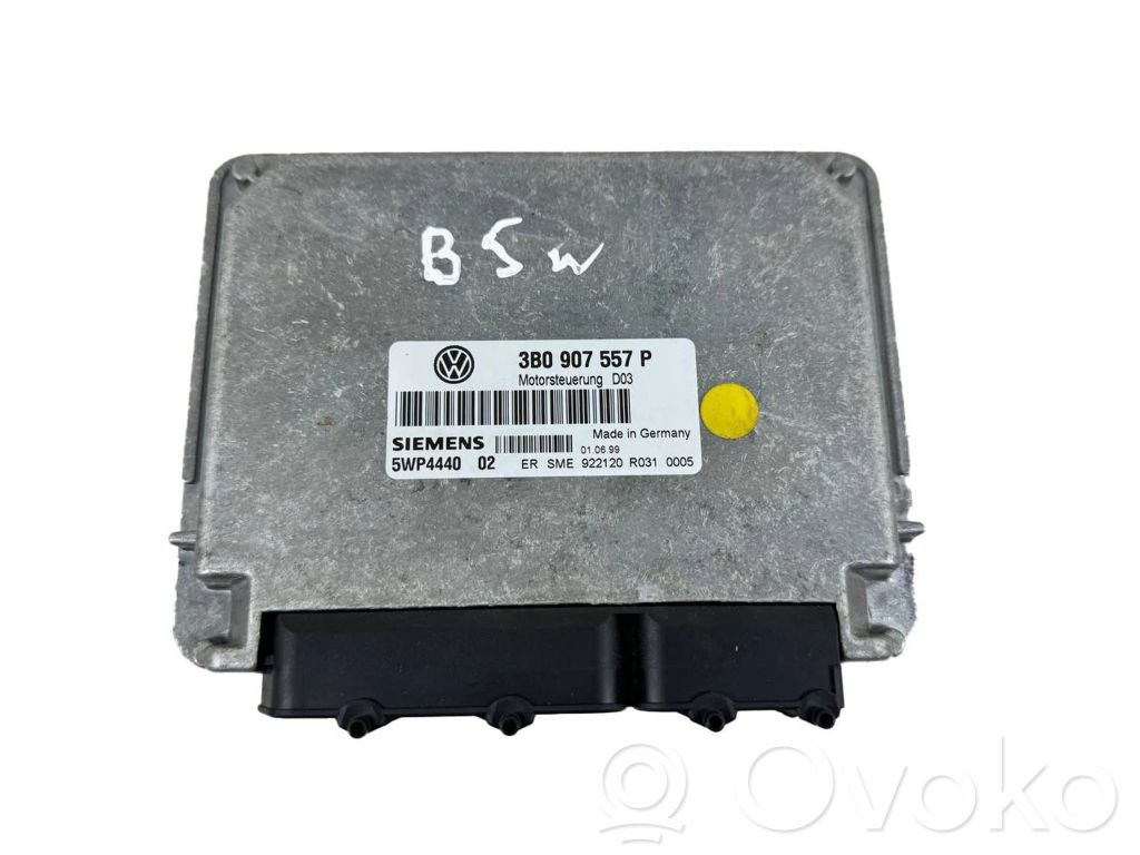Volkswagen PASSAT B5.5 Engine control unit/module 