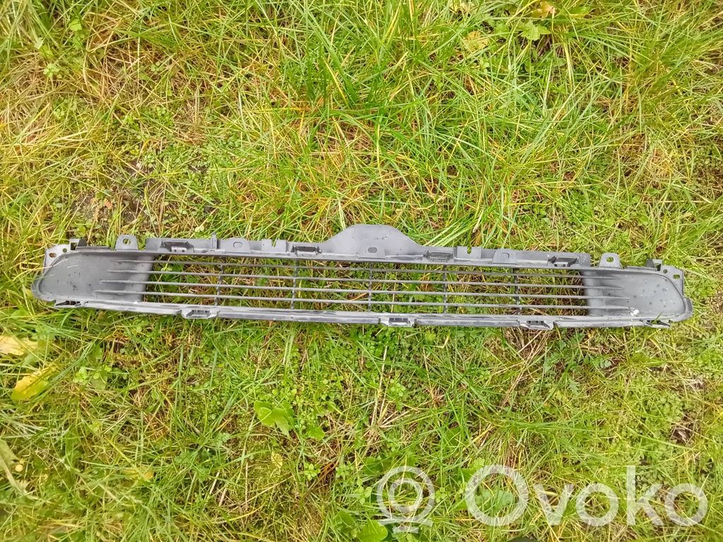 Front bumper lower grill   151684800A