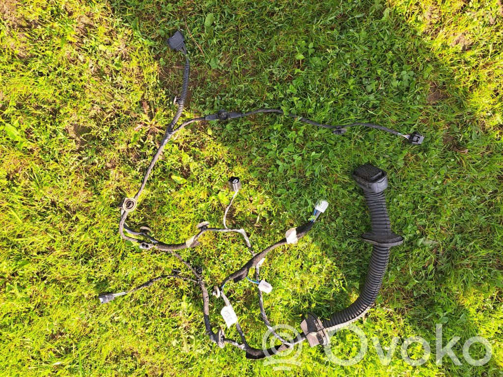 Renault Zoe Right interior wiring harness 