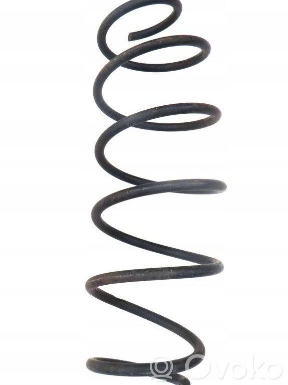 Muelle espiral trasero