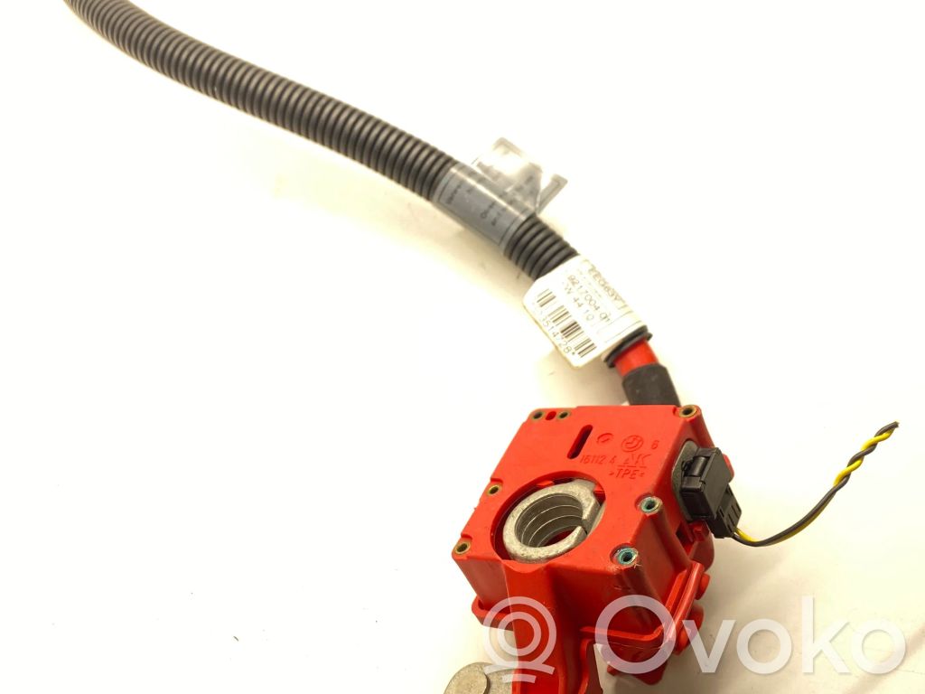 Cable positivo (batería)   9217004,9217003