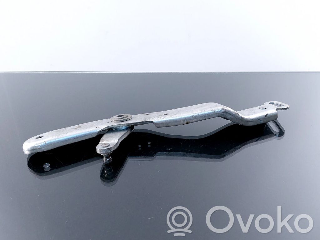 Volkswagen Phaeton Tailgate/trunk/boot hinge 