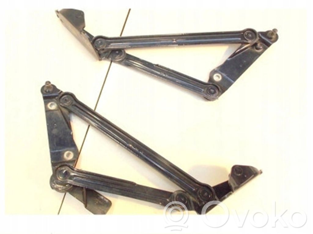 Tailgate/trunk/boot hinge