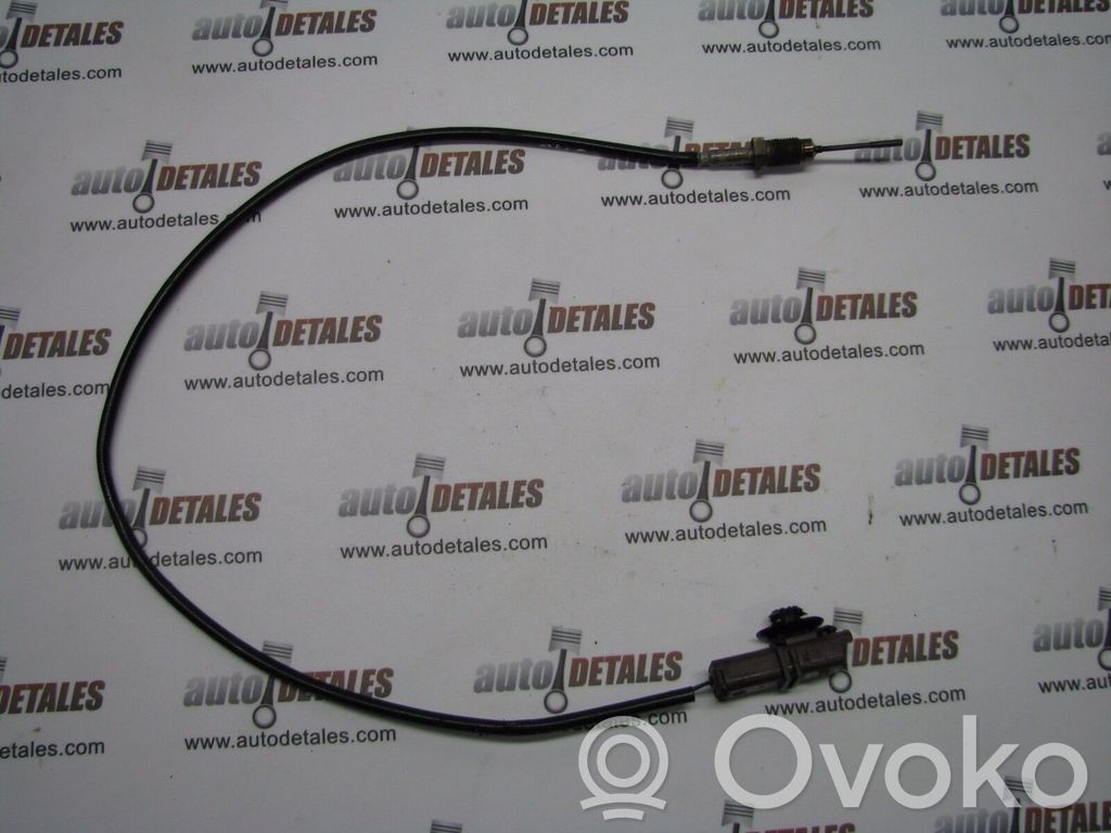 Peugeot 407 Išmetamųjų dujų temperatūros daviklis 