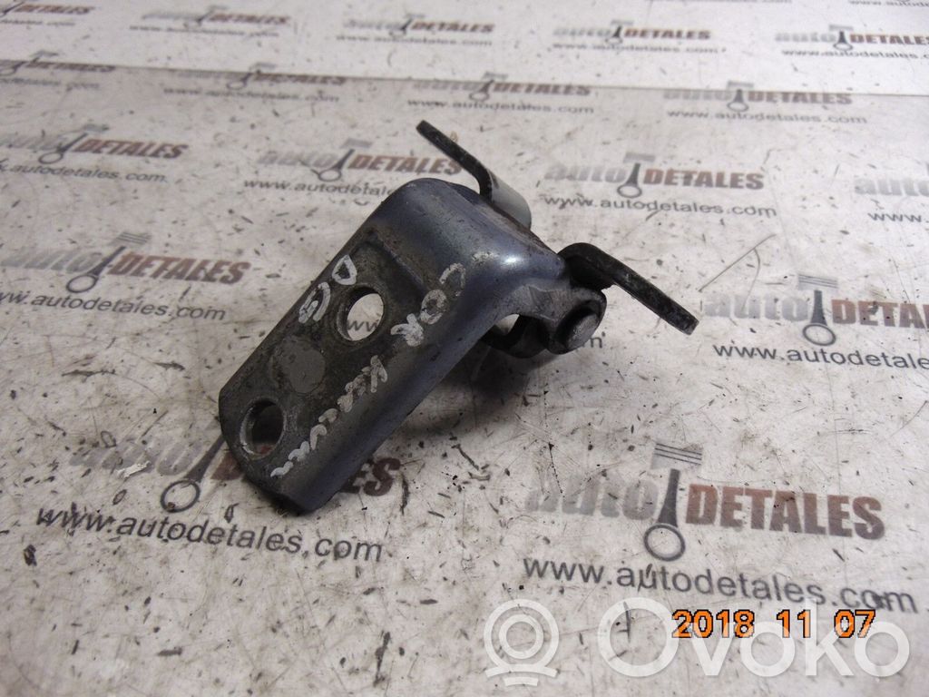 Rear door lower hinge