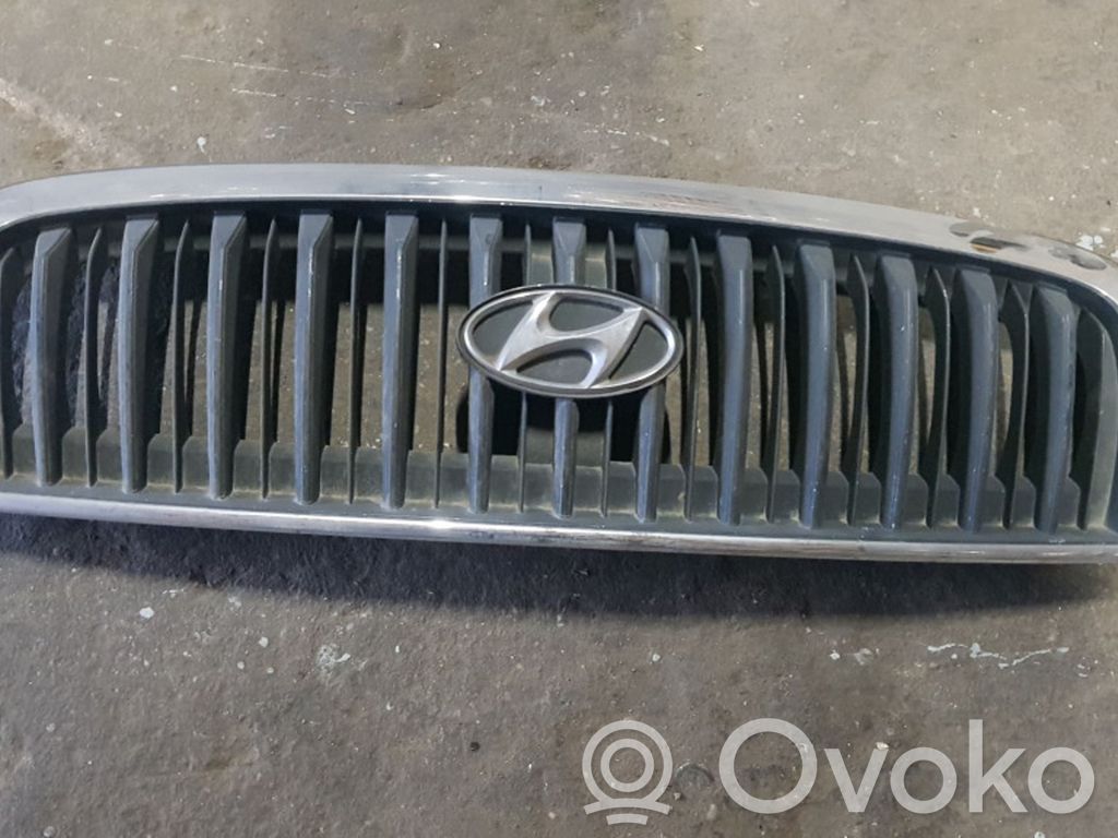 Hyundai Santa Fe Front bumper upper radiator grill 