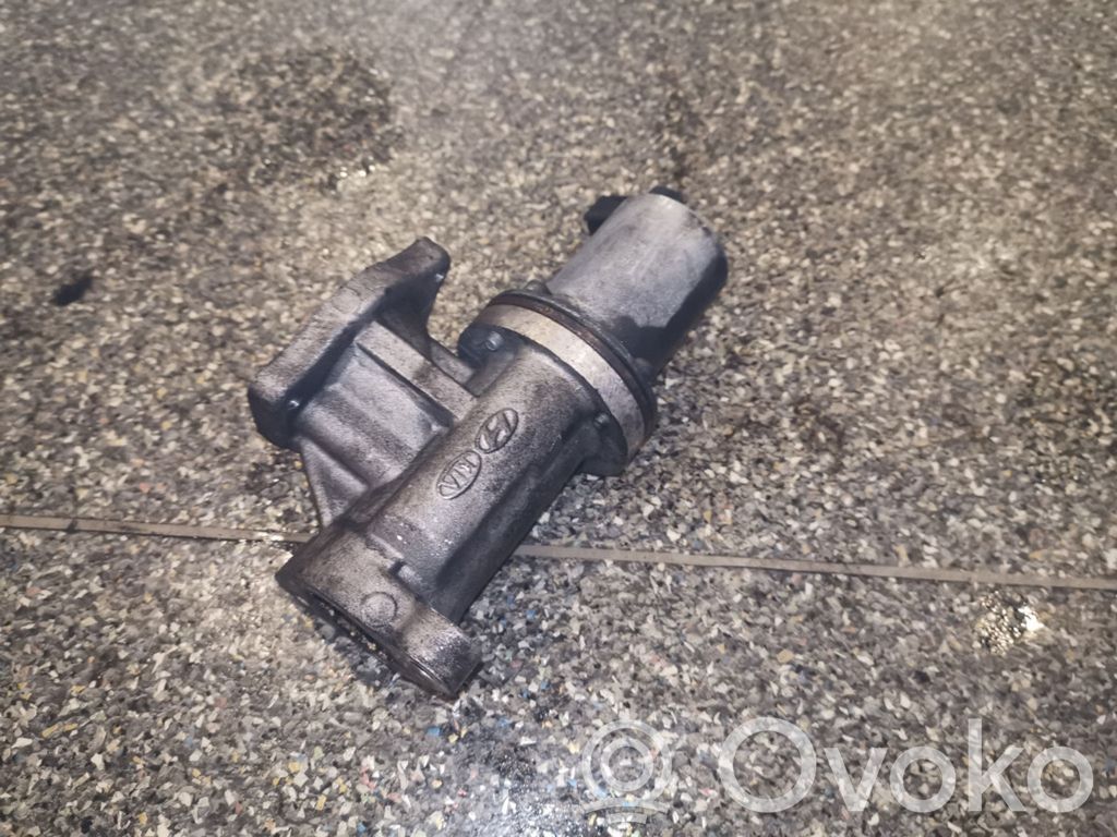 Hyundai Santa Fe Válvula EGR 