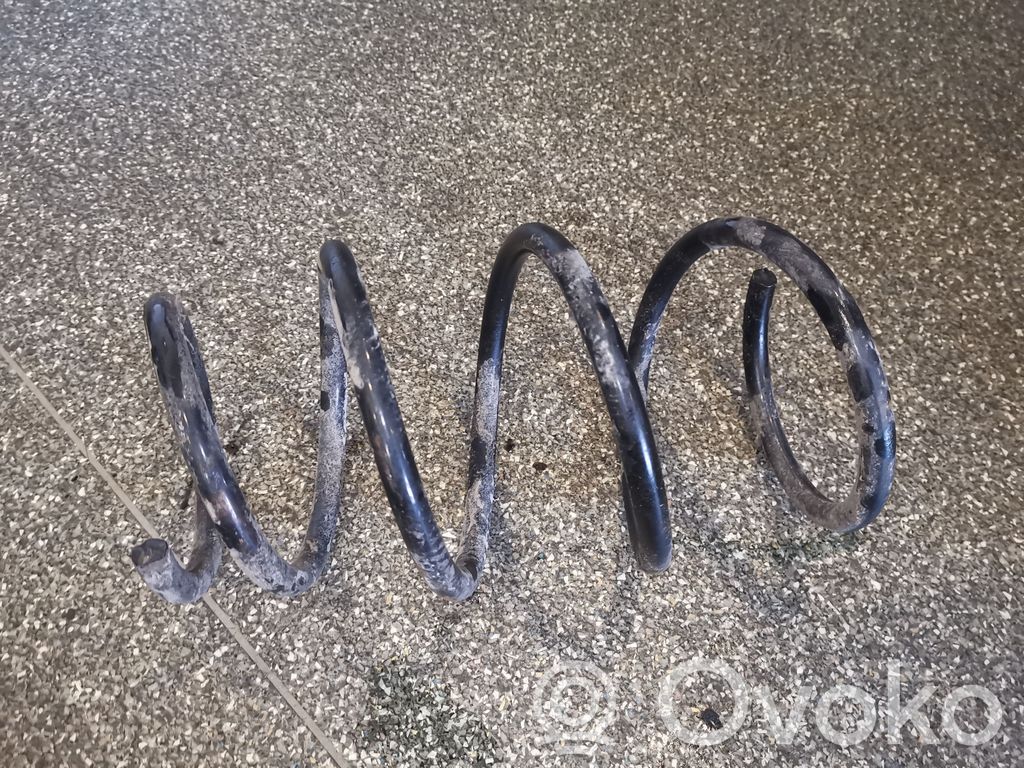 Front coil spring