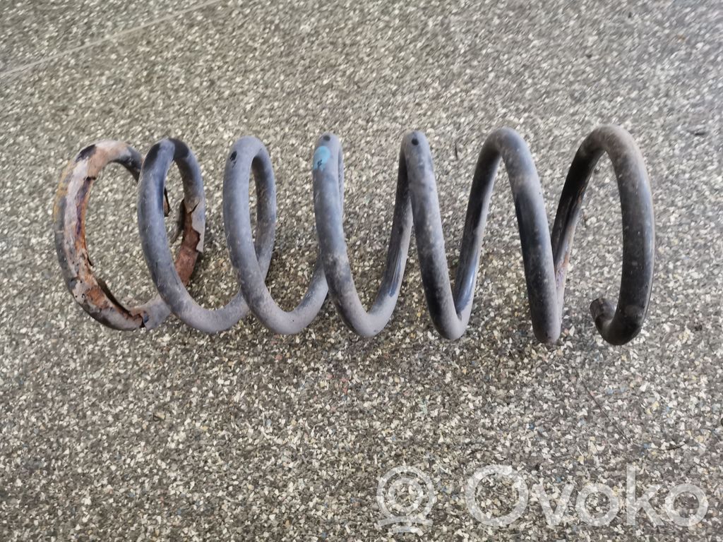 Rear coil spring