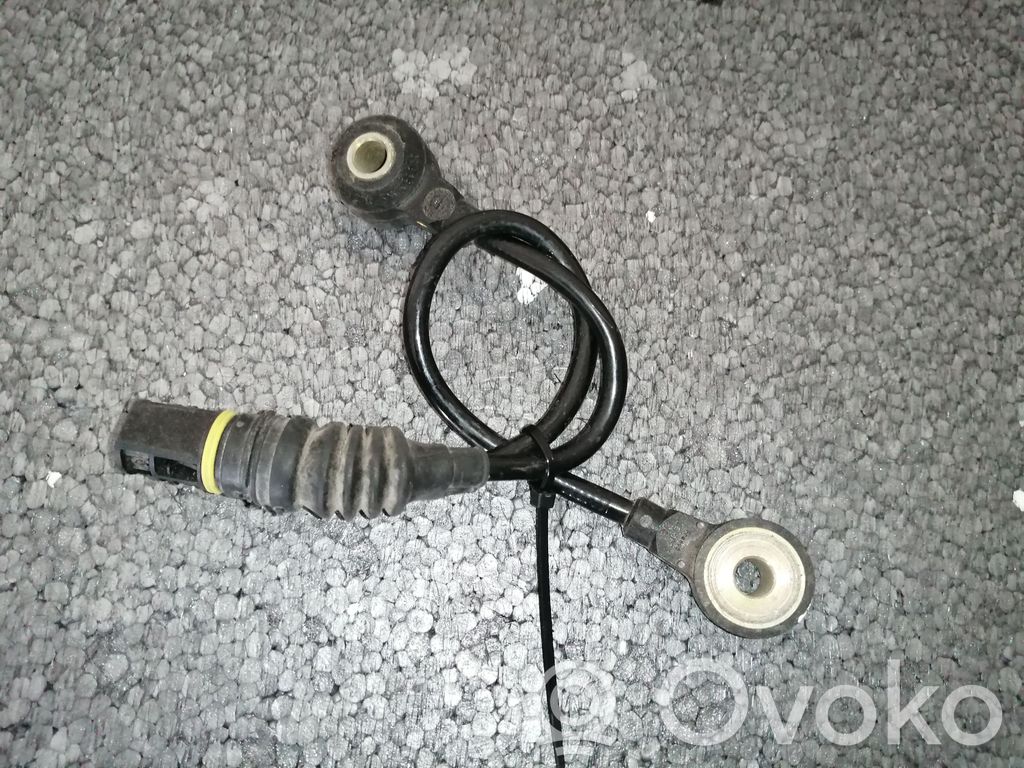 Detonacinis daviklis   1703276