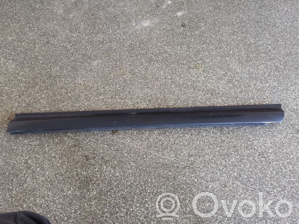 Audi A8 S8 D3 4E Etuoven lista (muoto) 