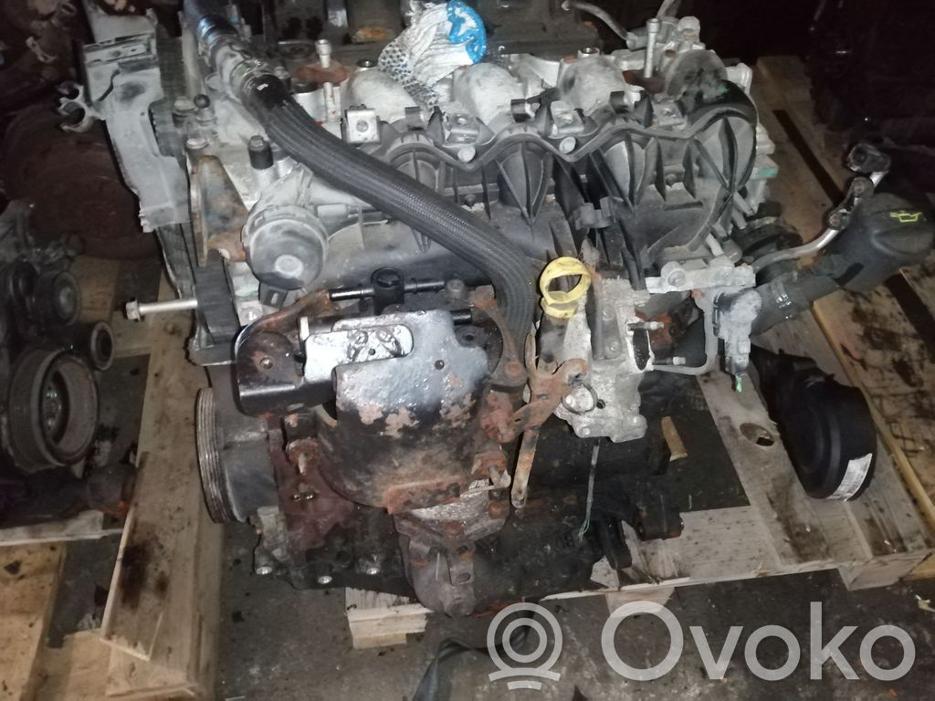 Engine   DW12