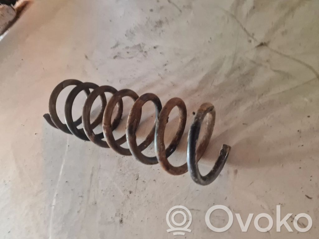 Rear coil spring
