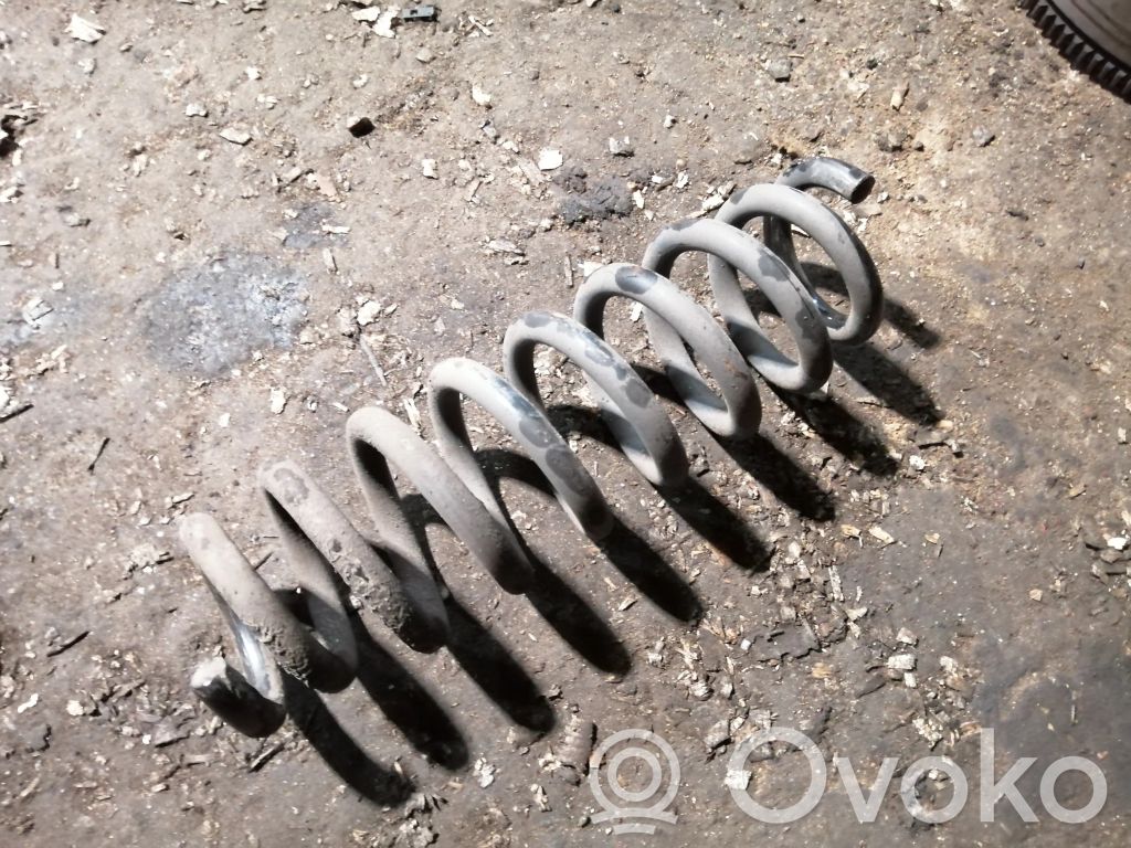 Rear coil spring