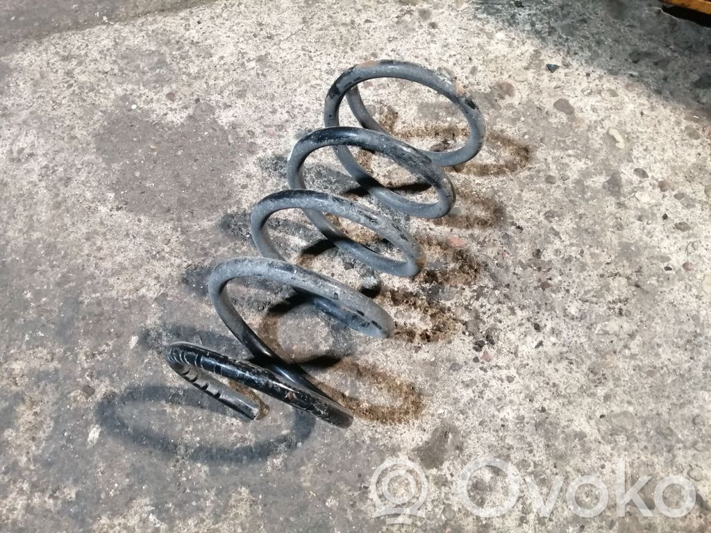 Rear coil spring