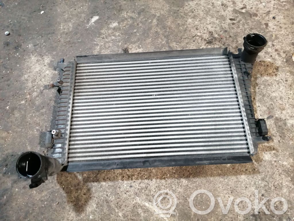 Volkswagen PASSAT B6 Interkūlerio radiatorius 