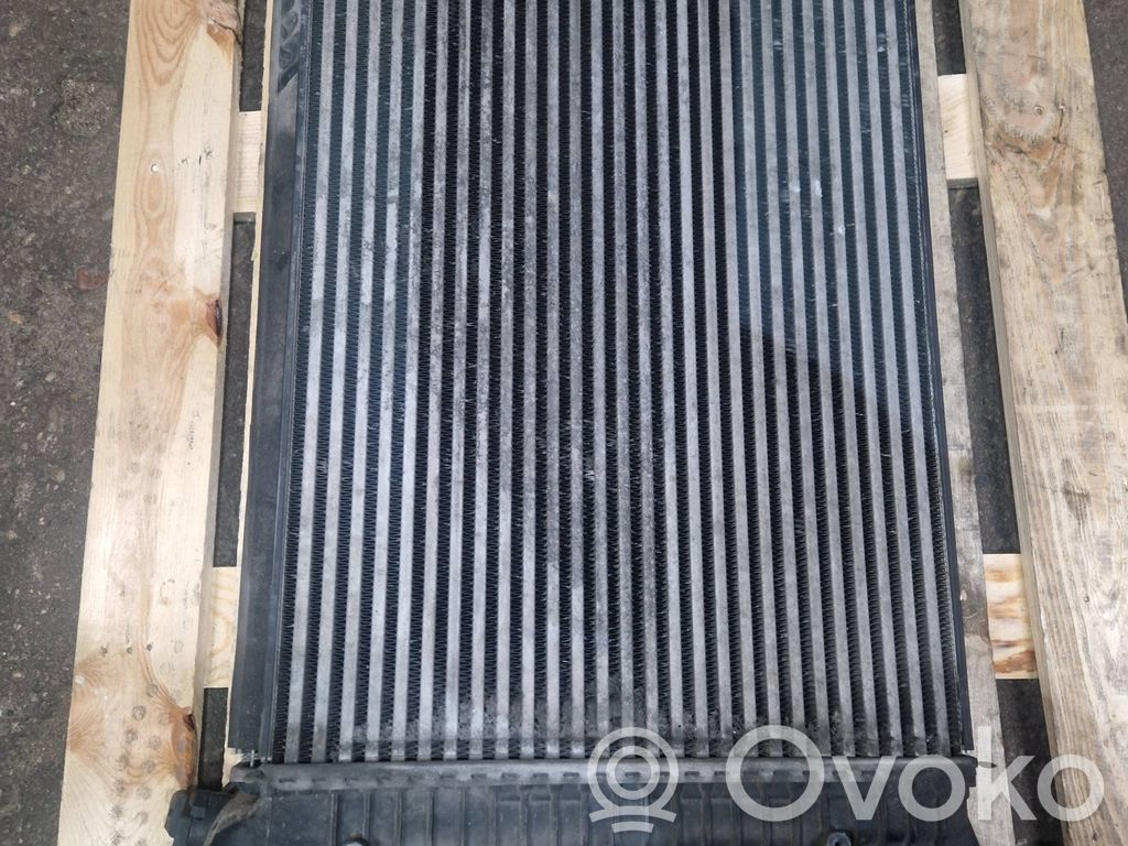 Volkswagen PASSAT B6 Interkūlerio radiatorius 