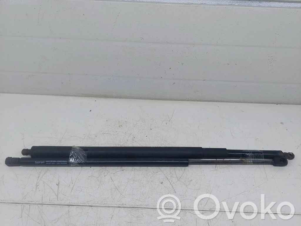Muelle amortiguador puerta trasera   7061432