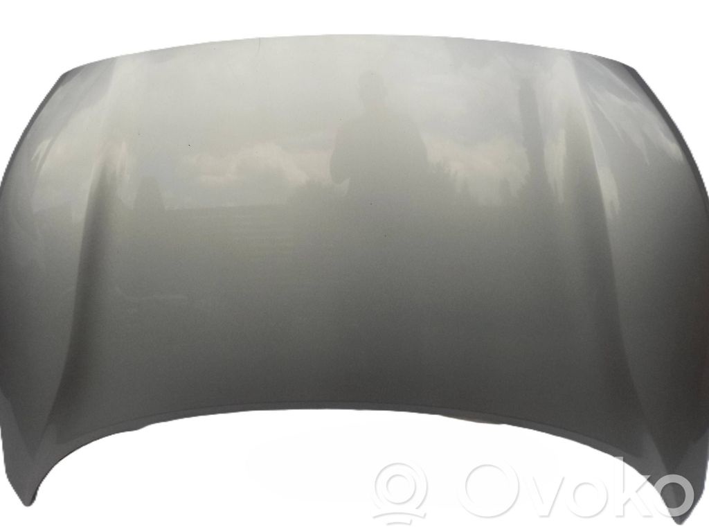 Engine bonnet/hood